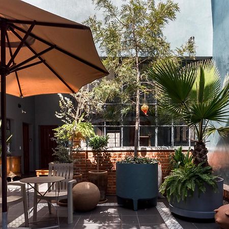 Casa Murmullos Guadalajara Ngoại thất bức ảnh
